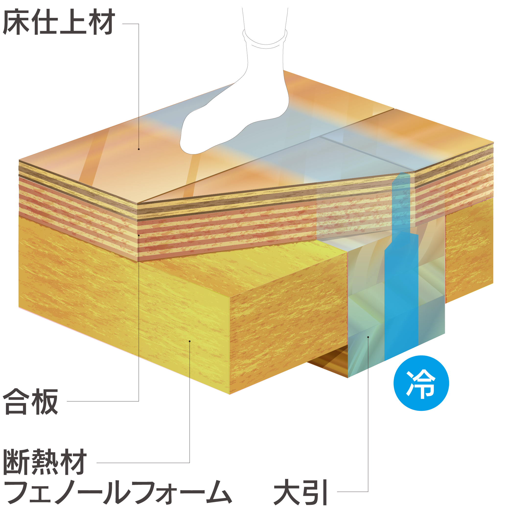 イメージ：一般的な床断熱