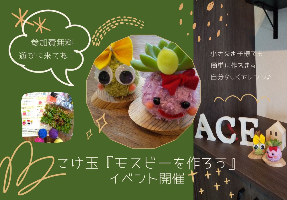 イメージ：＜和歌山店＞かわいいこけ玉『モスビーを作ろう』イベント開催♪