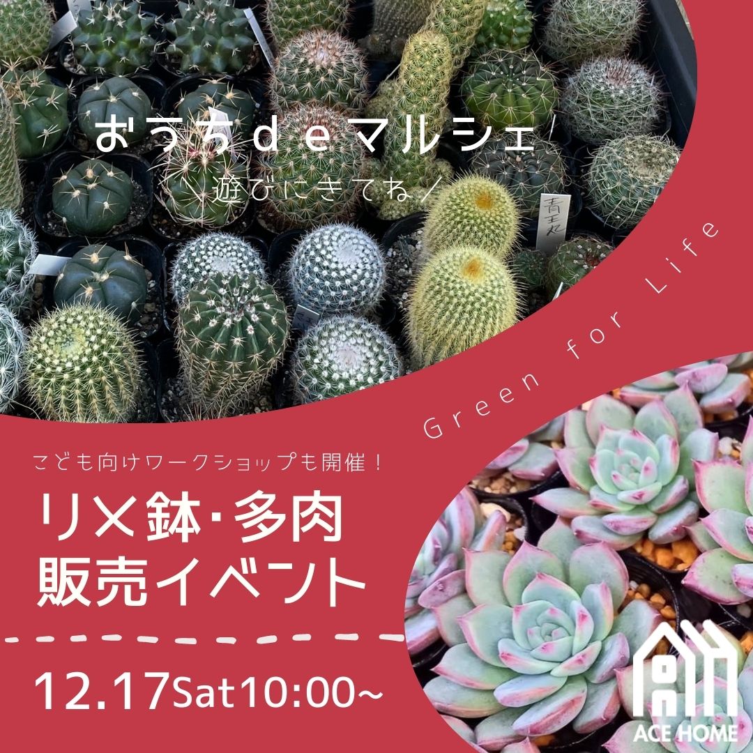 イメージ：【和歌山店】おうちdeマルシェ12月17日