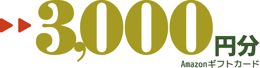 3000円分
