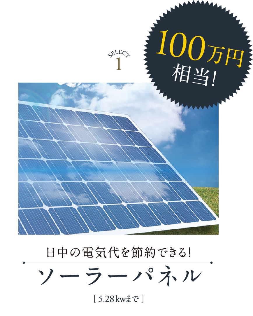 ソーラーパネル 100万円相当